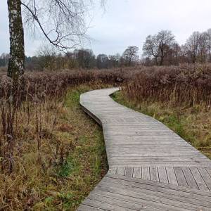 Ścieżka edukacyjna Doliny Białej Przemszy w Sławkowie - sciezka edukacyjna doliny bialej przemszy w slawkowie 18