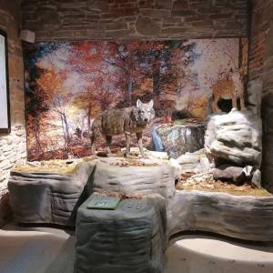 Ośrodek Edukacyjny Gorczańskiego Parku Narodowego - osrodek edukacyjny gorczanskiego parku narodowego4