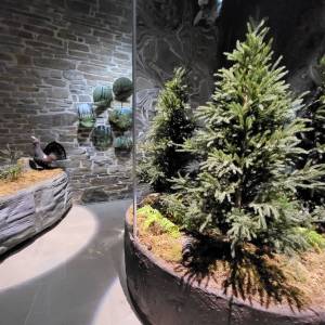 Ośrodek Edukacyjny Gorczańskiego Parku Narodowego - osrodek edukacyjny gorczanskiego parku narodowego6