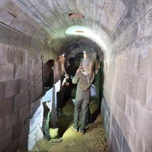 Wieża dla nietoperzy w Rymanowie-Zdroju - wieza dla nietoperzy w rymanowie zdroju 8