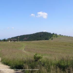 Czoło Turbacza (1258 m n.p.m.) - gorce czolo turbacza 2