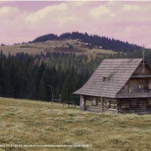 Czoło Turbacza (1258 m n.p.m.) - hala dluga czolo turbacza