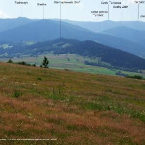 Czoło Turbacza (1258 m n.p.m.) - starmachowski gron g27