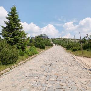 Graniczna Łąka - graniczna laka 8