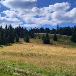 Polana Średnie - polana srednie3jpg