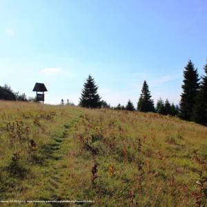 Polana Średnie - polana srednie 2