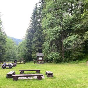 Ścieżka edukacyjna "Na Turbaczyk" - polana oberowka3jpg