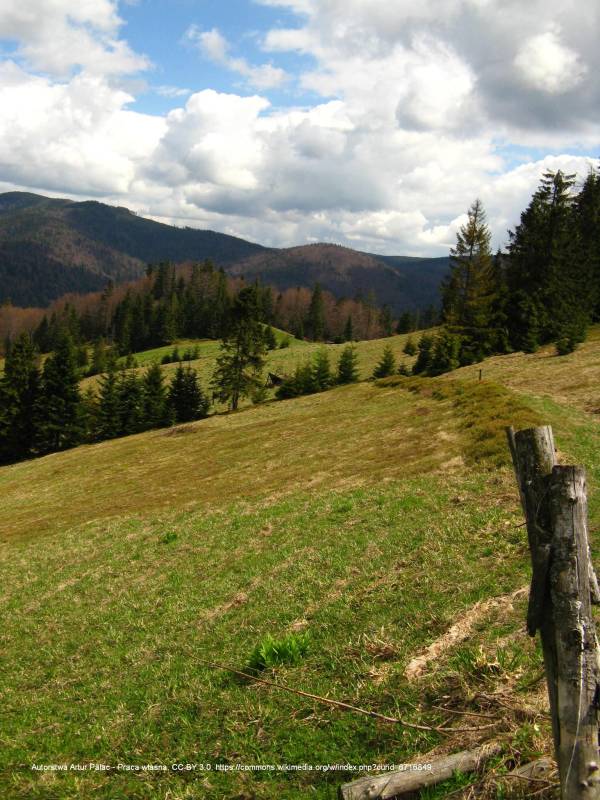 Polana Turbaczyk - polanaturbaczyk