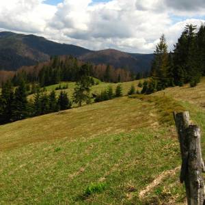 Polana Turbaczyk - polanaturbaczyk