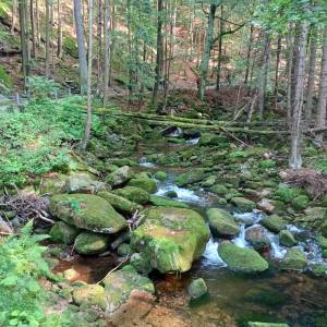 Wąwóz Szklarki w Karkonoszach - wawoz szklarki 10