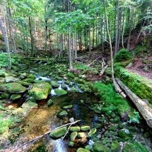 Wąwóz Szklarki w Karkonoszach - wawoz szklarki 11