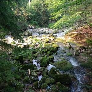 Wąwóz Szklarki w Karkonoszach - wawoz szklarki 13