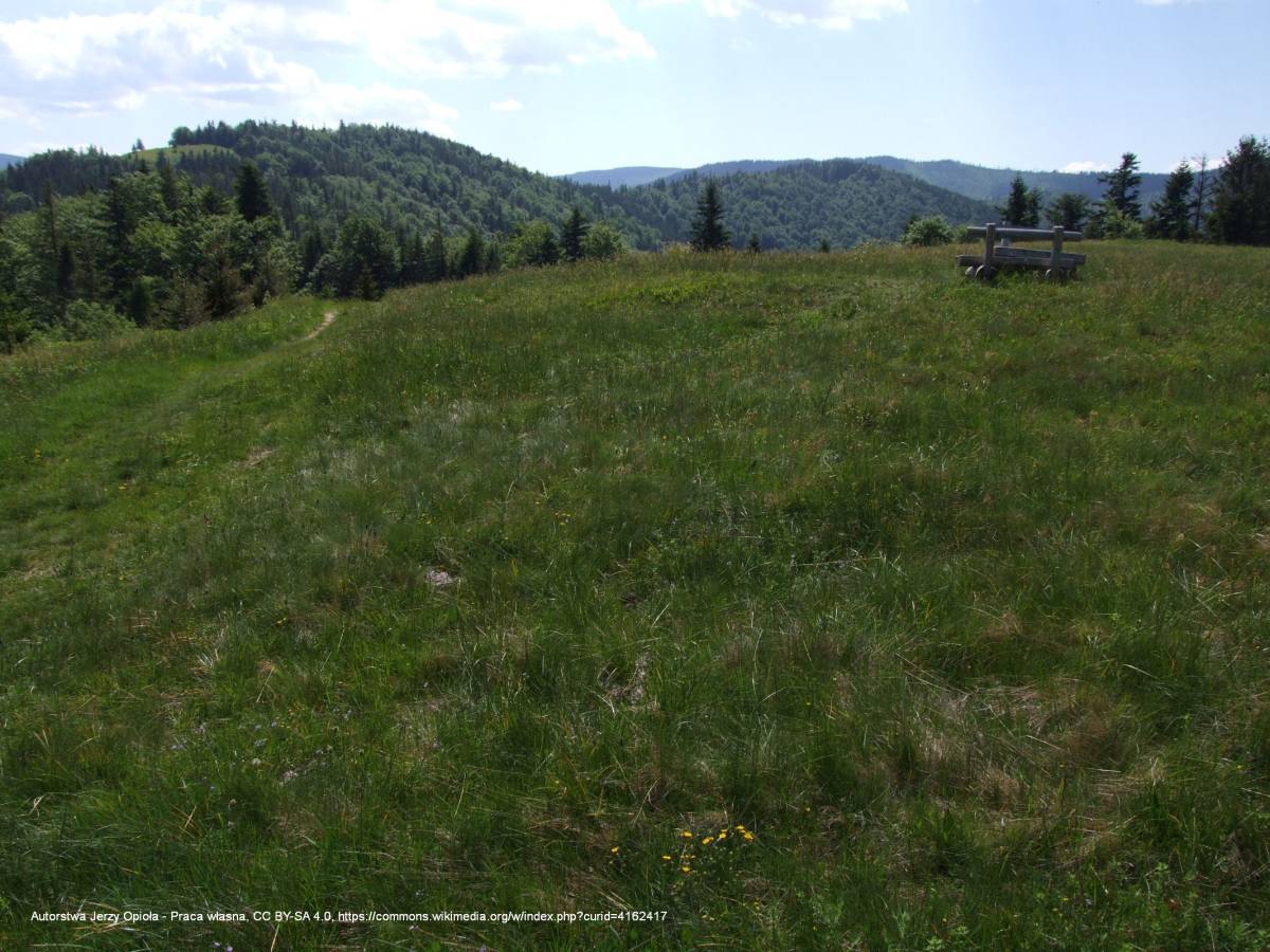 Polana Łąki - polana laki a1