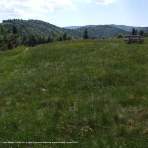 Polana Łąki - polana laki a1