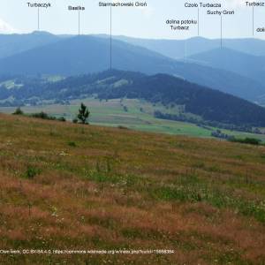 Turbaczyk (1078 m n.p.m.) - starmachowski gron g27