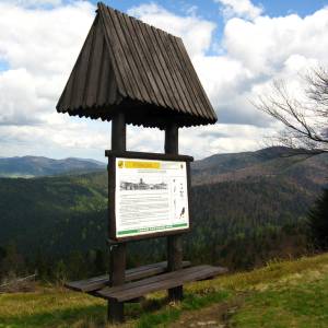 Turbaczyk (1078 m n.p.m.) - tab inf na turbaczyku