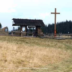 Szlak zielony z Niedźwiedzia na Turbacz przez Turbaczyk - hala turbacz a8