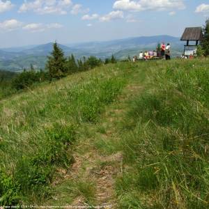 Szlak zielony z Niedźwiedzia na Turbacz przez Turbaczyk - polana turbaczyk a1