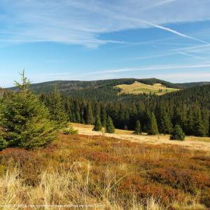 Hala Długa - czolo turbacza