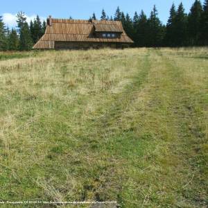 Hala Długa - turbacz a2