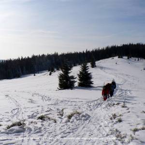 Szlak czarny Lubomierz-Kudłoń-Konina - gorc troczacki kudlon