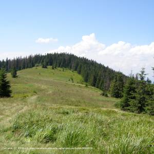 Szlak czarny Lubomierz-Kudłoń-Konina - gorce gorc troszacki