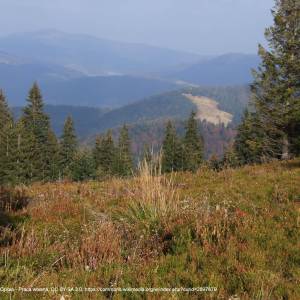 Szlak czarny Lubomierz-Kudłoń-Konina - polana kudlon a1