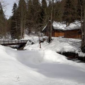 Gajówka Mikołaja - gajowka mikolaja 3