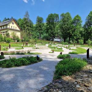 Ogród roślin gorczańskich - ogrod roslin gorczanskich2