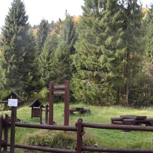 Polana Trusiówka - trusiowka 2 g8