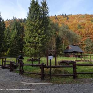 Polana Trusiówka - trusiowka g8