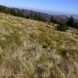 Przysłop (1187 m n.p.m) - polana przyslop a1