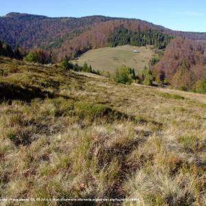 Przysłop (1187 m n.p.m) - przyslop w gorcach a1