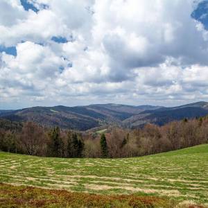 Gorc Kamienicki - gorc kamienicki2