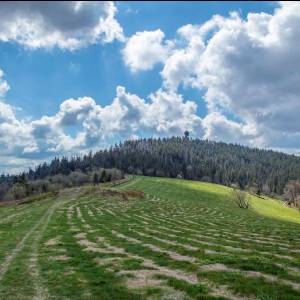 Gorc Kamienicki - gorc kamienicki4