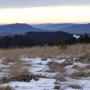 Gorc Kamienicki - gorc kamienicki a9