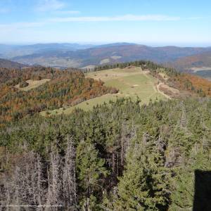 Gorc Kamienicki - gorc kamienicki dk45