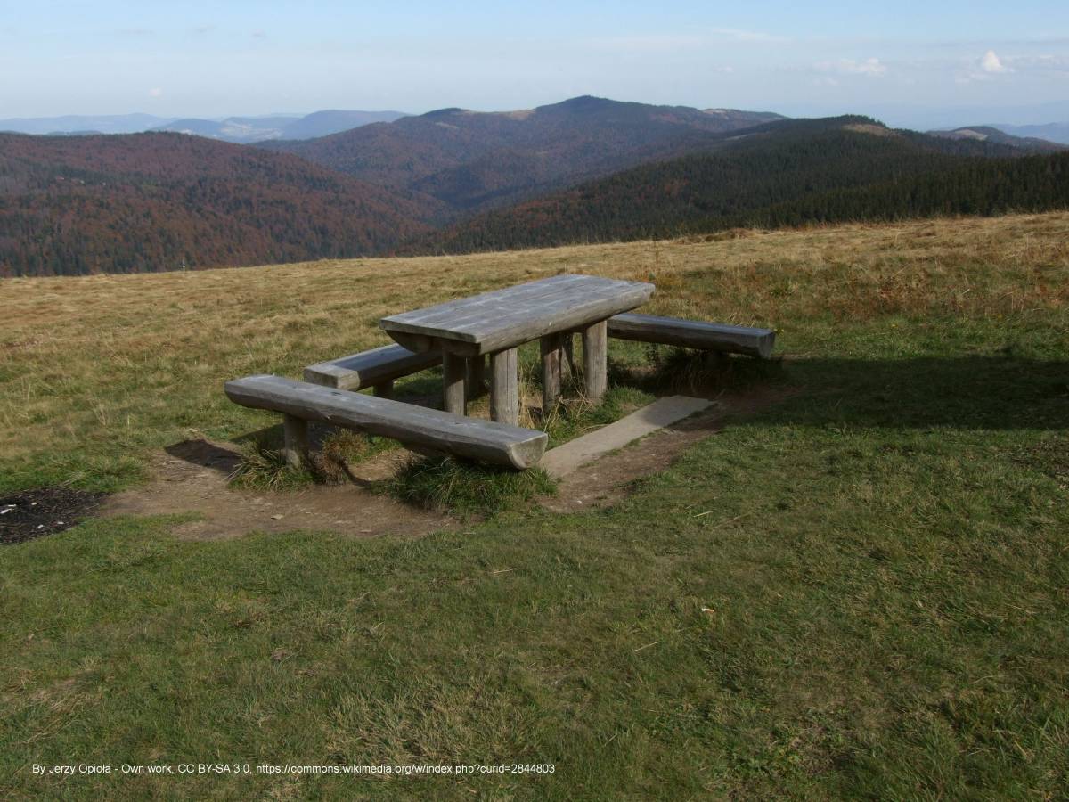 Jaworzyna Kamienicka (1288 m n.p.m) - jaworzyna kamienicka a1