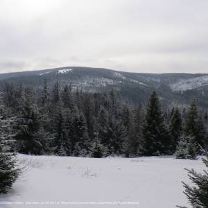 Jaworzyna Kamienicka (1288 m n.p.m) - gorce jaworzyna kamienicka