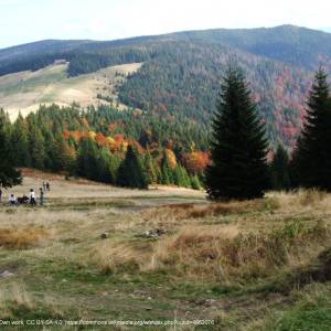 Jaworzyna Kamienicka (1288 m n.p.m) - hala dluga a6