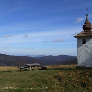 Jaworzyna Kamienicka (1288 m n.p.m) - jaworzyna kamienicka a2
