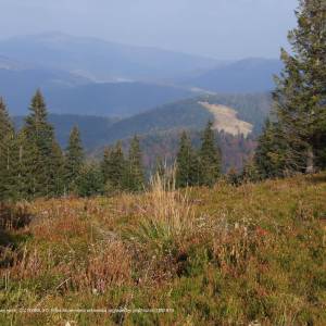 Kudłoń (1274 m n.p.m) - polana kudlon a1 1