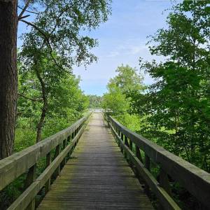 Szlak Nadmorski - jezioro dolgie duze1