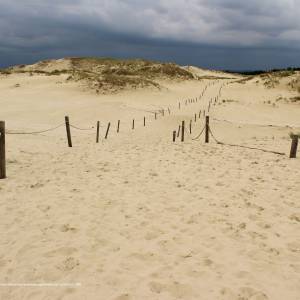 Szlak Nadmorski - na wydmie lackiej