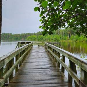 Szlak Nadmorski - obszar ochrony scislej dolgie male1