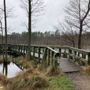 Szlak Nadmorski - obszar ochrony scislej dolgie male2