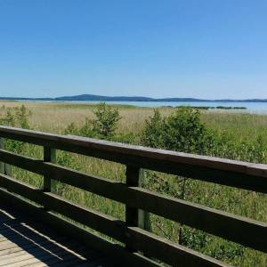 Szlak Rowy Pętla - jezioro gardno3