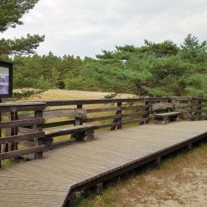 Szlak Rowy Pętla - jezioro gardno4