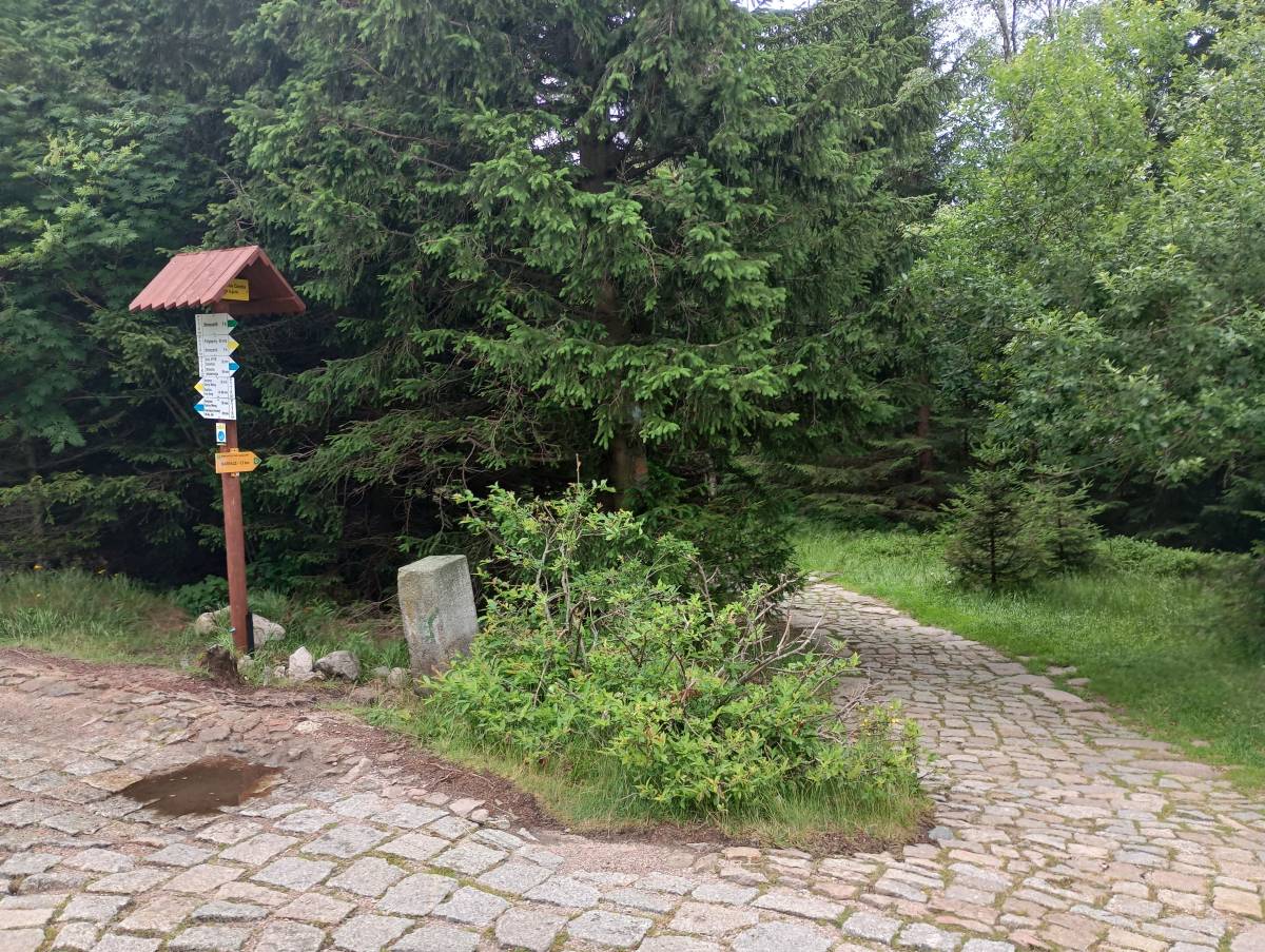 Rozdroże Droga Bronka Czecha - rozdroze droga bronka czecha 8