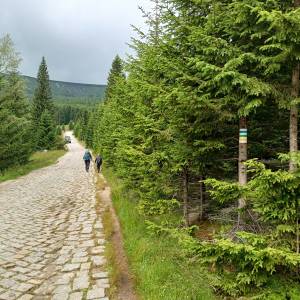 Rozdroże Droga Bronka Czecha - rozdroze droga bronka czecha 1